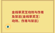 金线草灵芝功效与作用及禁忌(金线草灵芝：功效、作用与禁忌)