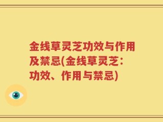 金线草灵芝功效与作用及禁忌(金线草灵芝：功效、作用与禁忌)