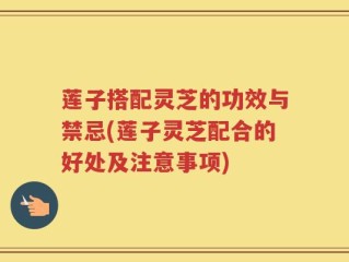 莲子搭配灵芝的功效与禁忌(莲子灵芝配合的好处及注意事项)