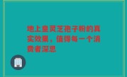地上皇灵芝孢子粉的真实效果，值得每一个消费者深思