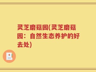 灵芝磨菇园(灵芝磨菇园：自然生态养护的好去处)
