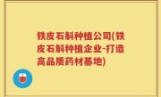 铁皮石斛种植公司(铁皮石斛种植企业-打造高品质药材基地)