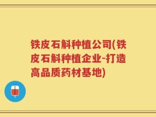 铁皮石斛种植公司(铁皮石斛种植企业-打造高品质药材基地)