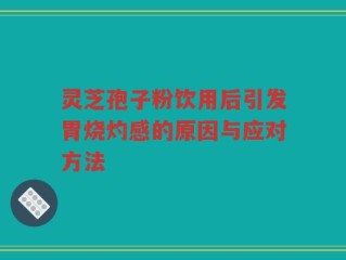 灵芝孢子粉饮用后引发胃烧灼感的原因与应对方法