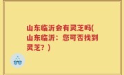 山东临沂会有灵芝吗(山东临沂：您可否找到灵芝？)