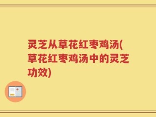 灵芝从草花红枣鸡汤(草花红枣鸡汤中的灵芝功效)