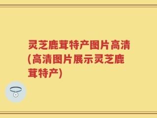 灵芝鹿茸特产图片高清(高清图片展示灵芝鹿茸特产)