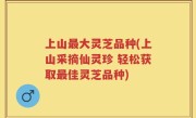 上山最大灵芝品种(上山采摘仙灵珍 轻松获取最佳灵芝品种)