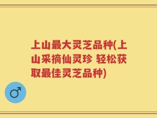 上山最大灵芝品种(上山采摘仙灵珍 轻松获取最佳灵芝品种)