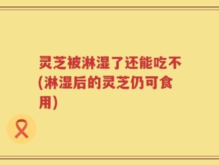 灵芝被淋湿了还能吃不(淋湿后的灵芝仍可食用)