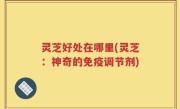 灵芝好处在哪里(灵芝：神奇的免疫调节剂)