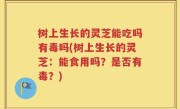 树上生长的灵芝能吃吗有毒吗(树上生长的灵芝：能食用吗？是否有毒？)