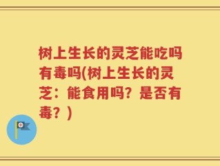 树上生长的灵芝能吃吗有毒吗(树上生长的灵芝：能食用吗？是否有毒？)