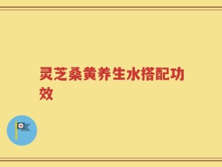 灵芝桑黄养生水搭配功效
