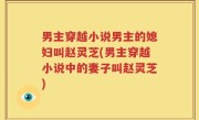 男主穿越小说男主的媳妇叫赵灵芝(男主穿越小说中的妻子叫赵灵芝)