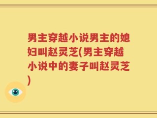 男主穿越小说男主的媳妇叫赵灵芝(男主穿越小说中的妻子叫赵灵芝)