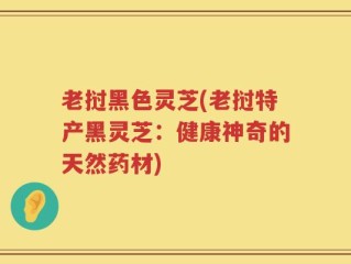 老挝黑色灵芝(老挝特产黑灵芝：健康神奇的天然药材)