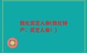 敦化灵芝人参(敦化特产：灵芝人参！)