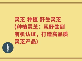 灵芝 种植 野生灵芝(种植灵芝：从野生到有机认证，打造高品质灵芝产品)