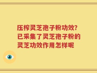 压榨灵芝孢子粉功效？已采集了灵芝孢子粉的灵芝功效作用怎样呢