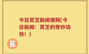 今日灵芝新闻视频(今日新闻：灵芝的奇妙功效！)