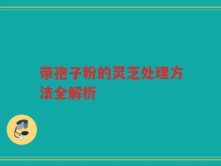 带孢子粉的灵芝处理方法全解析