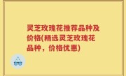 灵芝玫瑰花推荐品种及价格(精选灵芝玫瑰花品种，价格优惠)