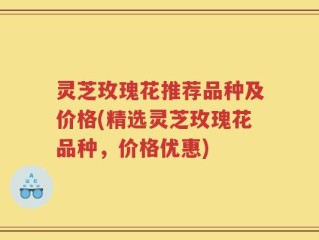 灵芝玫瑰花推荐品种及价格(精选灵芝玫瑰花品种，价格优惠)