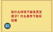 在什么环境下能生灵芝孢子？什么条件下能长松茸
