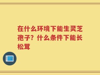 在什么环境下能生灵芝孢子？什么条件下能长松茸