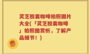 灵芝胶囊咖啡拍照图片大全(「灵芝胶囊咖啡」拍照图赏析,了解产品细节!)