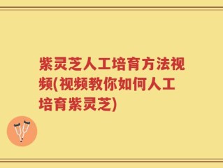 紫灵芝人工培育方法视频(视频教你如何人工培育紫灵芝)