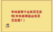丰林县哪个山有灵芝卖呀(丰林县哪座山有灵芝出售？)