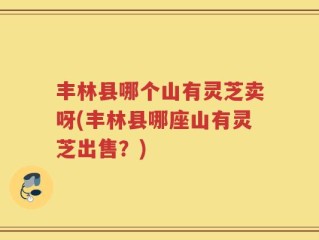 丰林县哪个山有灵芝卖呀(丰林县哪座山有灵芝出售？)