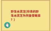 野生水灵芝(珍贵的野生水灵芝为何备受瞩目？)