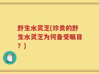 野生水灵芝(珍贵的野生水灵芝为何备受瞩目？)