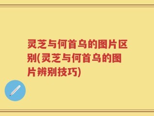 灵芝与何首乌的图片区别(灵芝与何首乌的图片辨别技巧)