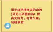 灵芝山药猪肉汤的功效(灵芝山药猪肉汤：提高免疫力，补益气血，延缓衰老)