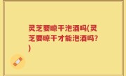 灵芝要晾干泡酒吗(灵芝要晾干才能泡酒吗？)