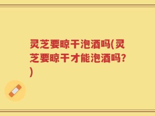 灵芝要晾干泡酒吗(灵芝要晾干才能泡酒吗？)