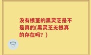 没有根茎的黑灵芝是不是真的(黑灵芝无根真的存在吗？)