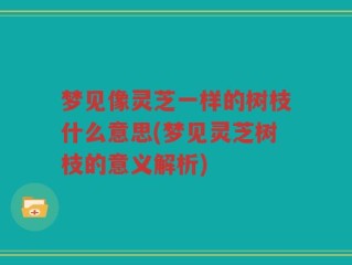 梦见像灵芝一样的树枝什么意思(梦见灵芝树枝的意义解析)
