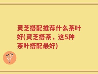 灵芝搭配推荐什么茶叶好(灵芝搭茶，这5种茶叶搭配最好)