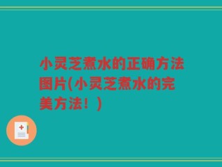 小灵芝煮水的正确方法图片(小灵芝煮水的完美方法！)