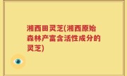 湘西田灵芝(湘西原始森林产富含活性成分的灵芝)