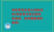 鸡骨草灵芝清火汤的功效(鸡骨草与灵芝清热祛湿汤，有效缓解湿热症状)