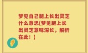 梦见自己腿上长出灵芝什么意思(梦见腿上长出灵芝意味深长，解析在此！)