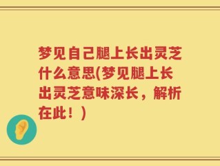 梦见自己腿上长出灵芝什么意思(梦见腿上长出灵芝意味深长，解析在此！)