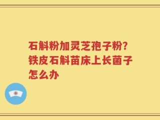 石斛粉加灵芝孢子粉？铁皮石斛苗床上长菌子怎么办