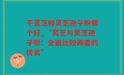 干灵芝和灵芝孢子粉哪个好_“灵芝与灵芝孢子粉：全面比较两者的优劣”